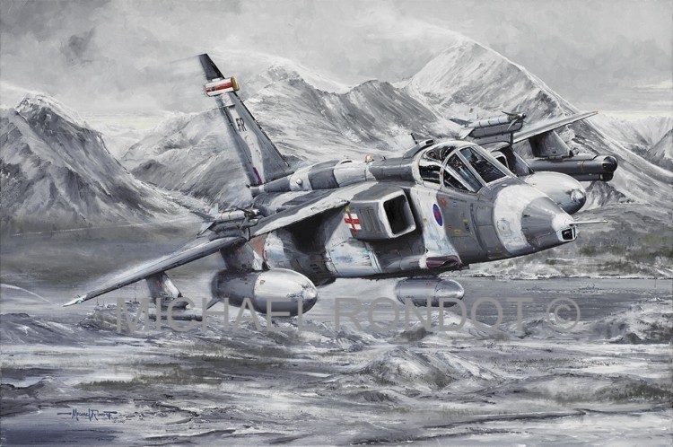 Arctic Warrior. Sepecat Jaguar 41 Squadron