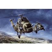 Evergreen Wessex HC2