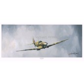 Supermarine Spitfire 41 Squadron