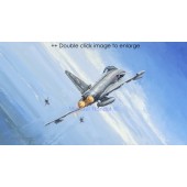 Eurofighter Typhoon Royal Air Force 29 Sqn