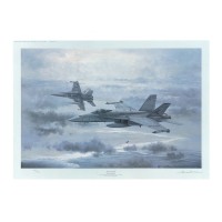 McDonnell Douglas F/A-18 Hornet. TOP COVER PRINT