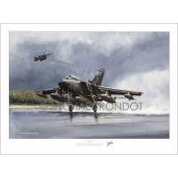 Panavia Tornado GR1 JP233