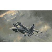 Sepecat JAGUAR FAREWELL