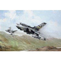 Tornado GR4. 12 Squadron. Leads The Field