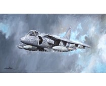AV-8B HARRIER II