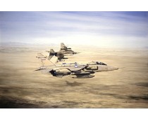 Desert Cats. Gulf War Jaguars