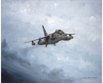 Distant Thunder - Jaguar T2