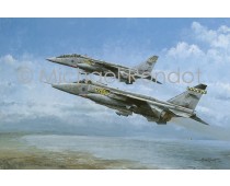 Golden Years. No.54(F) Squadron Jaguars