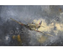 HAWKER HURRICANE John 'Paddy' Hemingway Tribute. 85 Squadron The Battle of Britain