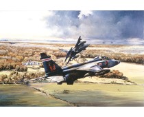 Jaguars over Kilduff, RAF Jaguars