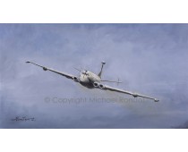 NIMROD  MR2 - THE MIGHTY HUNTER