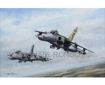 54 Squadron Farewell; RAF Coltishall Jaguars