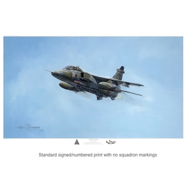 Low Flyby Jaguar Aviation Art Collectair