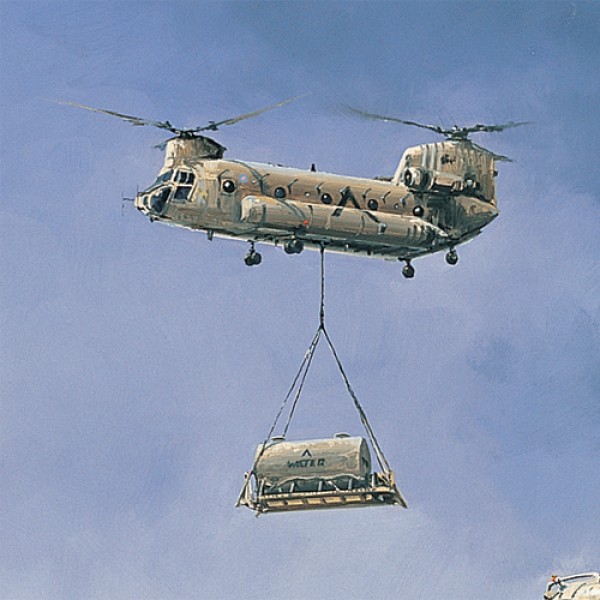 Desert Scorpions | Michael Rondot | Collectair.co.uk