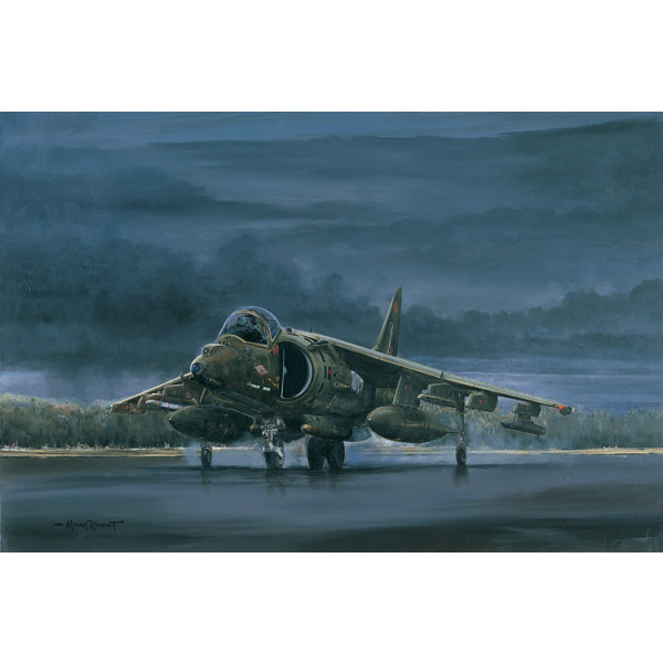 Night Attack HARRIER AV-8 Michael Rondot | Collectair.co.uk