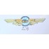 The Penetrator : Blackburn Buccaneer