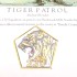 Tiger Patrol Westland Puma
