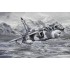 Arctic Warrior. Sepecat Jaguar 41 Squadron