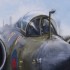 The Penetrator : Blackburn Buccaneer