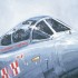 Tornado F3. Firebird, 56 Squadron