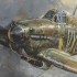 Hawker Hurricane 85 Squadron. Group Captain John 'Paddy' Hemingway DFC Tribute.