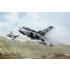 Tornado GR4. 12 Squadron. Leads The Field