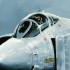 F4 Phantom Farewell