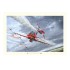 The Red Arrows Print For Sale