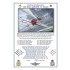 The Red Arrows Print For Sale