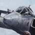 54 Squadron Farewell. RAF Coltishall Jaguar 
