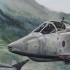 SWANSONG Sepecat Jaguar GR3