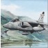 SWANSONG Sepecat Jaguar GR3