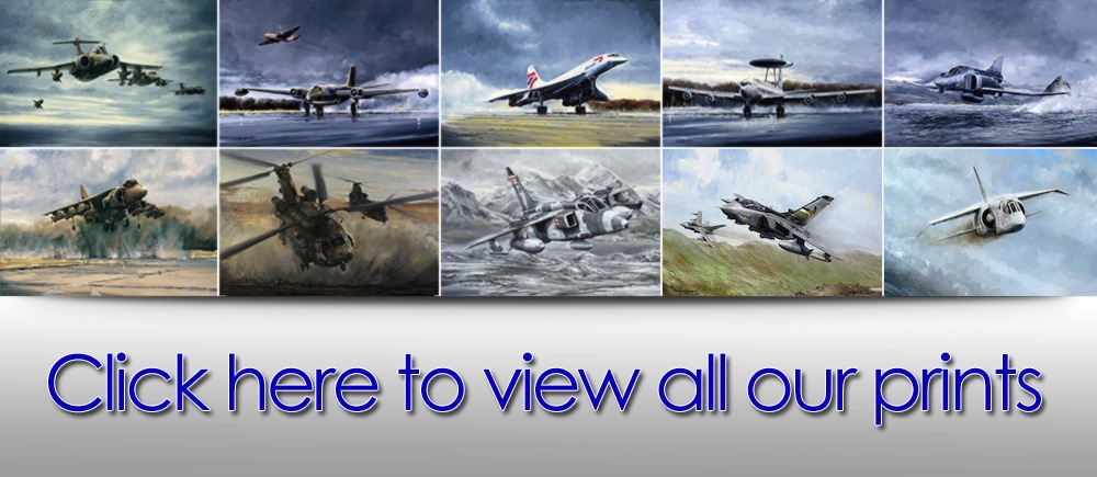 Michael Rondot Aviation Art